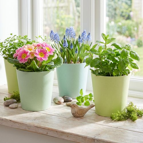 Papieren pot, cachepot, plantenbak blauw/groen Ø11cm H10cm 4st | Floristik24.nl