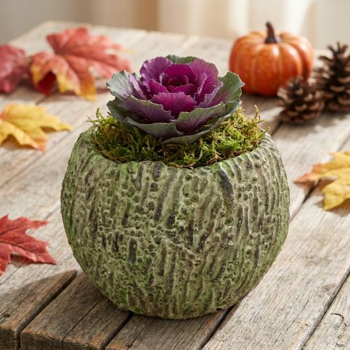 Plantenbak beton antiek look groen, bruin plantenbak Ø13cm | Floristik24.nl