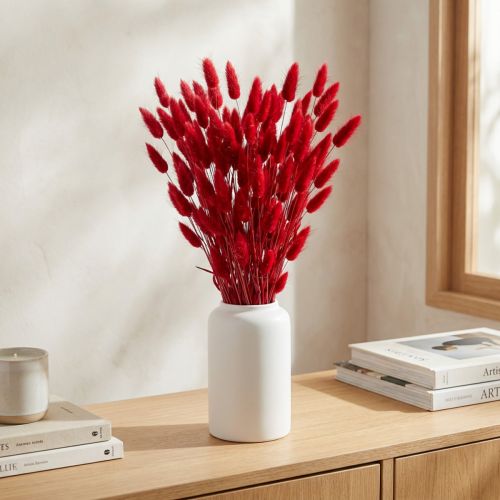 Konijnenstaartgras (Lagurus) Gedroogd Rood 60cm 50g Gedroogde Bloemendecoratie | Floristik24.nl