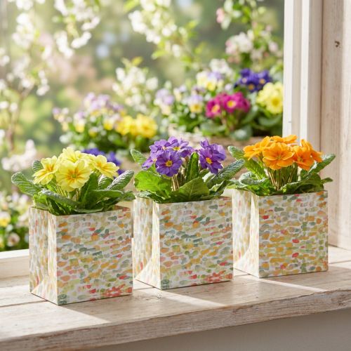 Cadeauzakje plantenzakje cadeauzakje patroon 12cm 8 st | Floristik24.nl