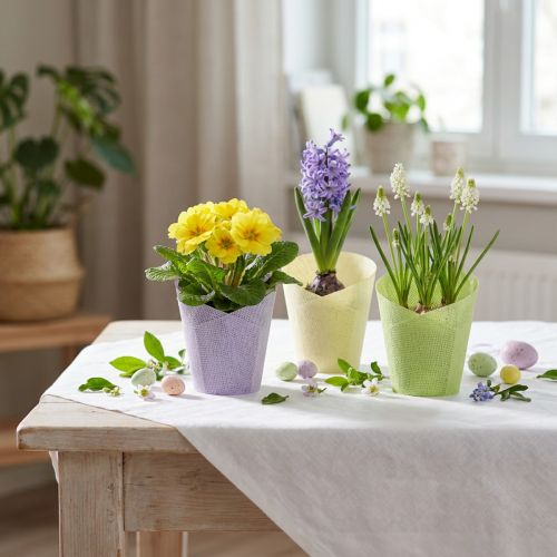 Plantenpot geweven plantenbak papier groen, geel, paars Ø7cm H13cm 12st | Floristik24.nl