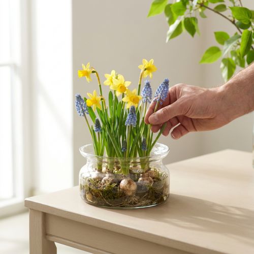 Glazen schaal sierschaal glazen zwemkom Ø16cm H8cm | Floristik24.nl