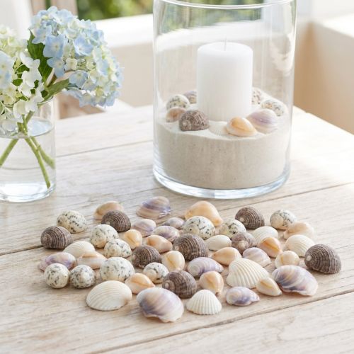 Schelpdecoratie mini kokkels