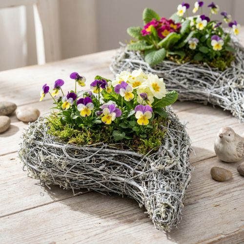 Decoratieve plantenbak in de vorm van een hart met een wijnstok, wit, creatief idee voor een huis- en cadeau-idee, plastic folie, set van 4, 15 x 23 x 5 cm | Floristik24.nl