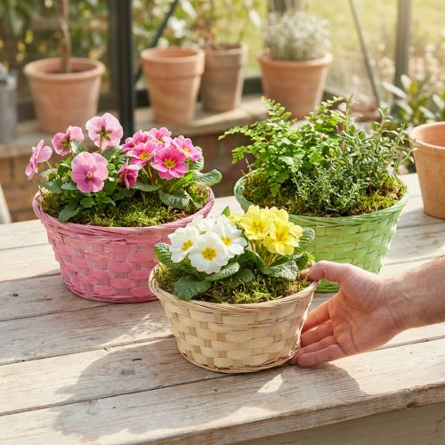 Ronde plantenpot Ø20cm, diverse kleuren, 8 stuks | Floristik24.nl