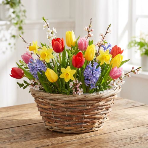 Plantenmand decoratieve schaal Ø24cm lichtbruin gemaakt van natuurlijke materialen voor bloemendecoratie cadeau | Floristik24.nl