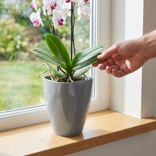 Orchideepot glanzend Ø12,5cm grijs 1 st | Floristik24.nl