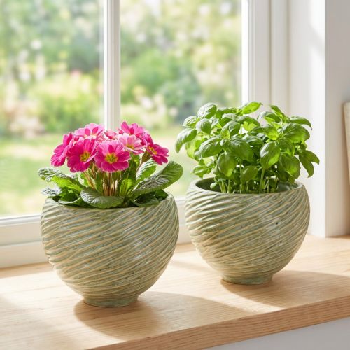 Plantenbak decoratieve schaal keramiek in groen Ø15cm H11cm 2st | Floristik24.nl