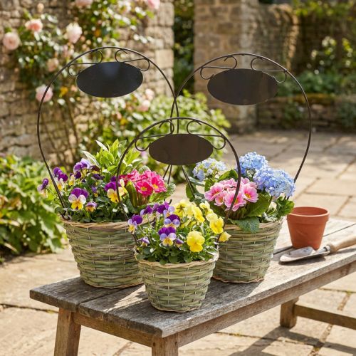 Bloemenmand met handvat en metalen bordje, Ø23/20/17 cm, set van 3. | Floristik24.nl