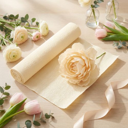 Bloemisten crêpepapier, champagnekleur, 50 x 250 cm, 5 stuks | Floristik24.nl