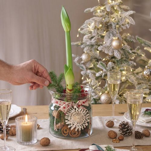 Decoratieve glazen vaas lantaarn glas helder Ø18cm H20cm | Floristik24.nl