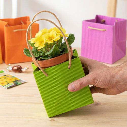 Cadeautas, papieren tas met