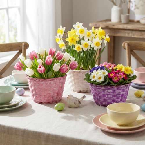 Ronde spaanplaten kom, paars/wit/roze, Ø19 cm, 8 stuks | Floristik24.nl