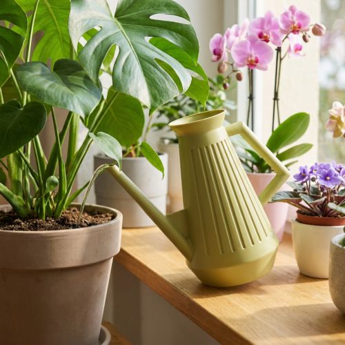 Gieter voor binnen, olijfgroen, retrostijl, 24,5 cm, 1,8 l, design gieter, kunststof, planten water geven | Floristik24.nl