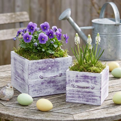 Plantenlade met handvat paars wit hout 12/15cm set van 2 | Floristik24.nl