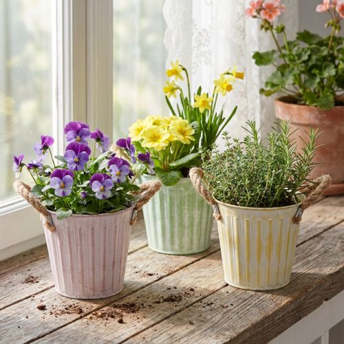 Decoratieve pot, metalen emmer voor planten, plantenbak met handvatten, roze/groen/geel shabby chic Ø15cm H13cm 3-delige set | Floristik24.nl