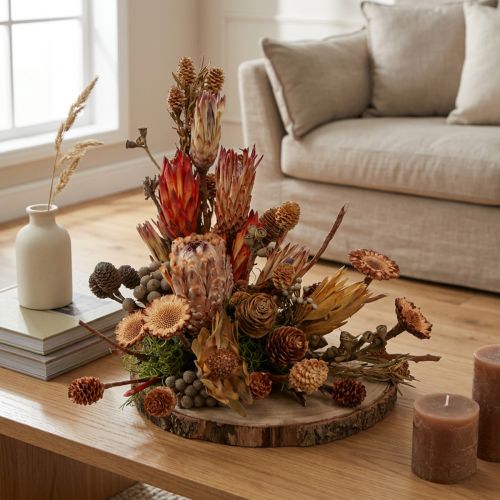 Gedroogde exotische Protea-kegels Bellgum 24–48 cm 580 g - Kunstbloemdecoratie Zuid-Afrika | Floristik24.nl