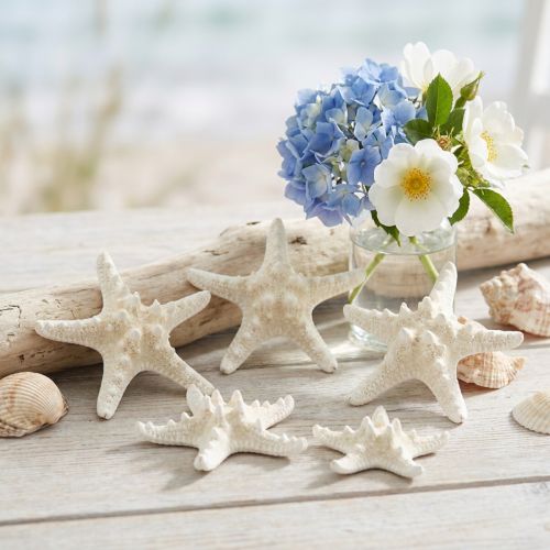 Witte zeesterren decoratie, gedroogde zeesterren voor knutselprojecten 7-11 cm 15 stuks | Floristik24.nl