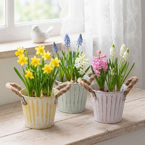 Bloempot, metalen pot met handvatten, decoratieve plantenbak, roze/groen/geel, shabby chic, Ø12cm, H10cm, set van 3 | Floristik24.nl