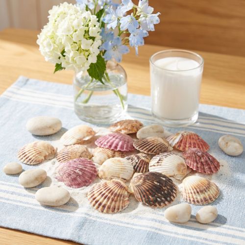 Lege kokkelschelpen in natuurlijke schelpdecoratie, 3-5 cm, 300 g | Floristik24.nl