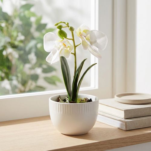 Mini orchideeën kunstmatige witte orchideeën in een pot 15cm | Floristik24.nl