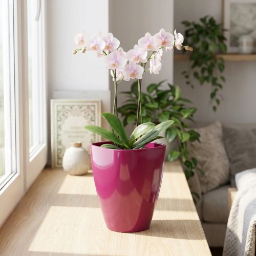 Orchideepot glanzend Ø12,5cm kers 1 st | Floristik24.nl
