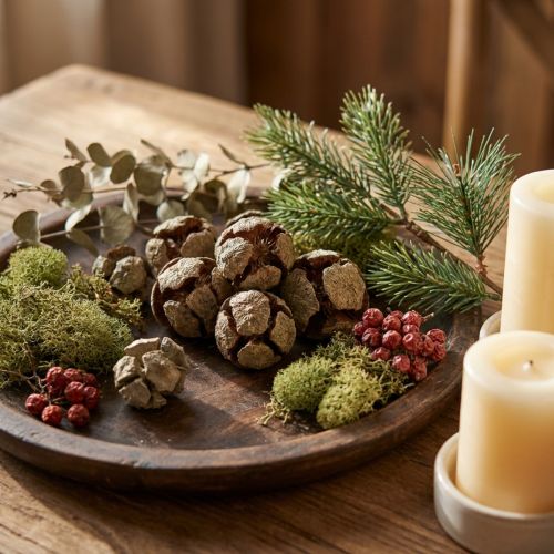 Cipressenkegels, naturel, 3 cm, 500 g | Floristik24.nl
