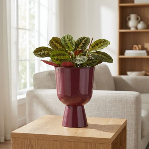 Bloempot, komvormig, moderne stijl, decoratief voor elk huis en kantoor, 23 cm | Floristik24.nl