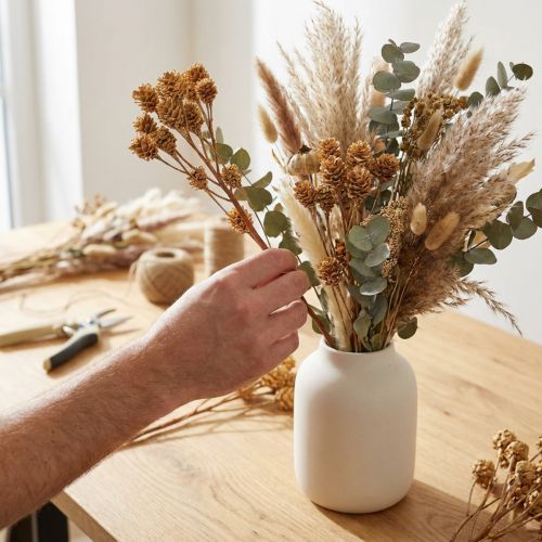 Salignum tak lichte leucadendron bloemen op de tak 25 st | Floristik24.nl