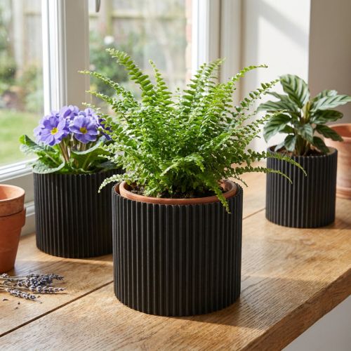 Bloempot van papier, zwart Ø19cm H14cm, 3 stuks | Floristik24.nl