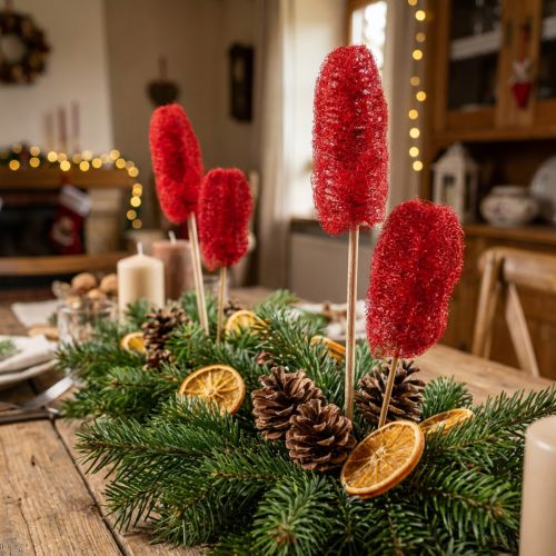 Luffa klein op stokje rood 25 st | Floristik24.nl