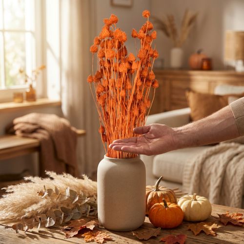Droogbloemen droge distel aardbeidistel oranje 100g | Floristik24.nl