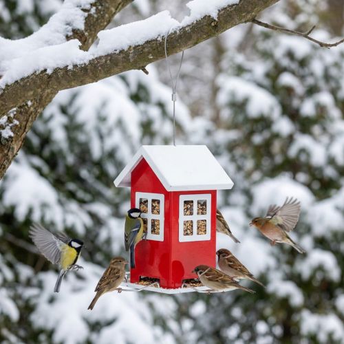 Vogelvoerbak Rood en wit metalen vogelvoerbak H19cm | Floristik24.nl