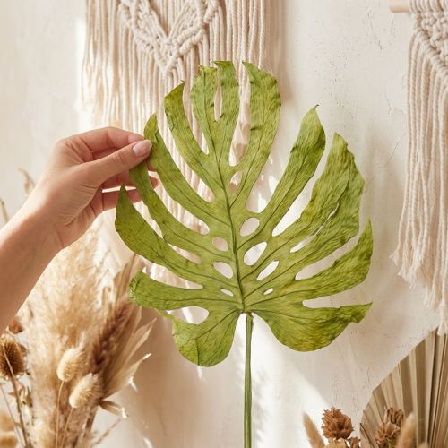 Decoratieve Monstera-bladeren voor boho- en urban jungle-decoratie | Floristik24.nl