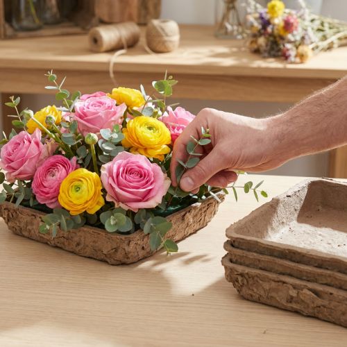 Oasis Biolit Basic Steekschuim 13x13x2cm 12-delige set Bloemendecoratie DIY | Floristik24.nl