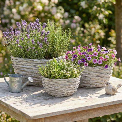 Artikel Set plantenmanden van riet, wit-grijs, shabby chic decoratie, 3-delig