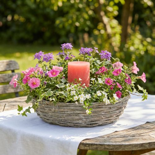 Wilgenplantenbak, wit, natuurlijke uitstraling, decoratieve ring voor creatieve tuinontwerpen, Ø35/30 cm, set van 2, veelzijdig | Floristik24.nl
