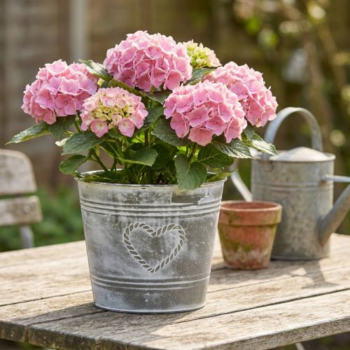 Shabby Chic metalen bloempot met hartvormig ontwerp, Ø22cm, H17.5cm | Floristik24.nl