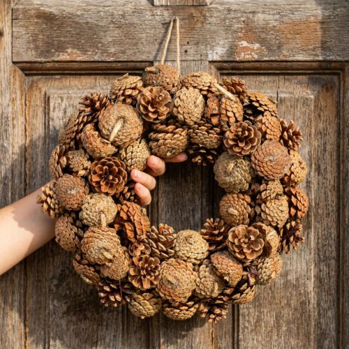 Dennenappelkrans om natuur op te hangen Ø35cm | Floristik24.nl