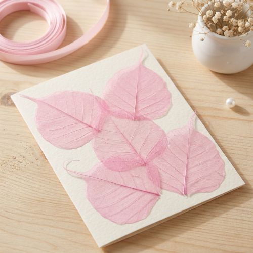 Skeletbladeren, roze decoratieve wilgenbladeren 5-9cm, 200 stuks - Ideaal voor wenskaarten & DIY | Floristik24.nl