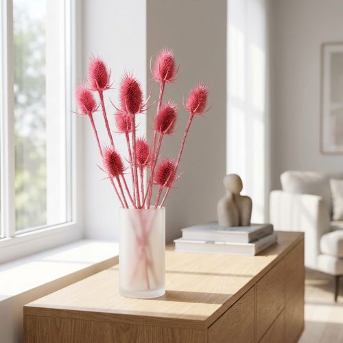 Gedroogde decoratie van wilde kaardebol, roze distels, 53 cm, 10 koppen | Floristik24.nl