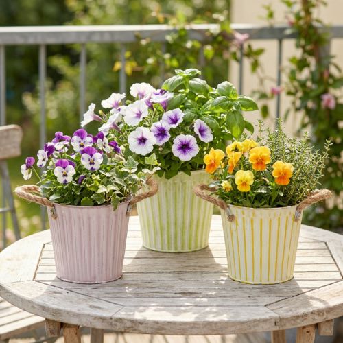 Emmer voor planten, plantenbak met handvatten, metalen decoratie roze/groen/geel shabby chic Ø16,5cm H15cm 3-delige set | Floristik24.nl
