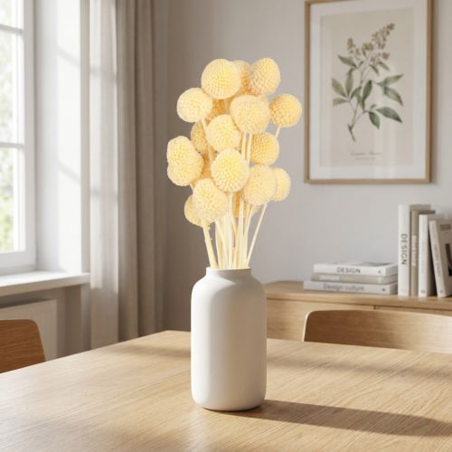Craspedia Gedroogde Bloemen Crème Decoratie 20 stuks 50-55cm | Floristik24.nl