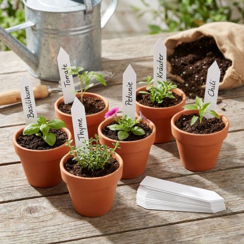 Plaklabels 17mm x 80mm 250 stuks | Floristik24.nl