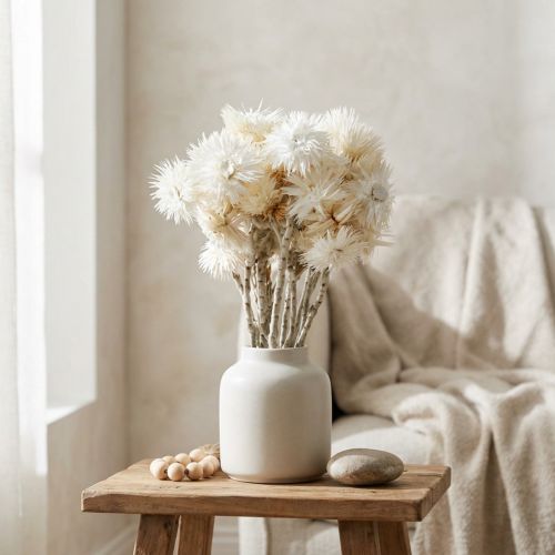Gedroogde bloemen, kapbloemen, natuurlijk wit, strobloemen, boeket gedroogde bloemen H33cm | Floristik24.nl