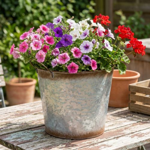 Bloempot met handvatten, decoratieve schaal met roestkleurige afwerking, zilverkleurige metalen pot Ø26cm H25.5cm | Floristik24.nl