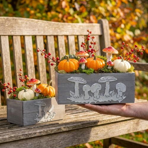 Houten kistenset paddenstoel, herfstdecoratie, tuindecoratie, plantenbakken L40/30cm, set van 2 | Floristik24.nl