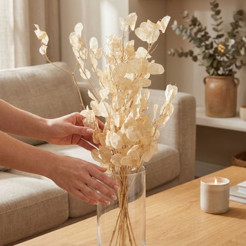 Artikel Gedroogd zilverblad Lunaria Champagne 65-70cm 20g