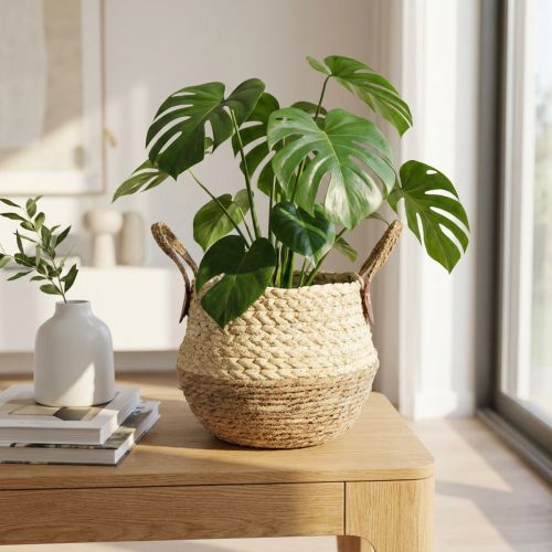 Zeegrasmand Tweekleurig met handvatten - Opberg- en plantmand - Natuurlijk & Bruin Ø25cm H24cm | Floristik24.nl