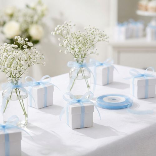 Organza lint cadeaulint lichtblauw lint blauw zelfkant 6mm 50m | Floristik24.nl
